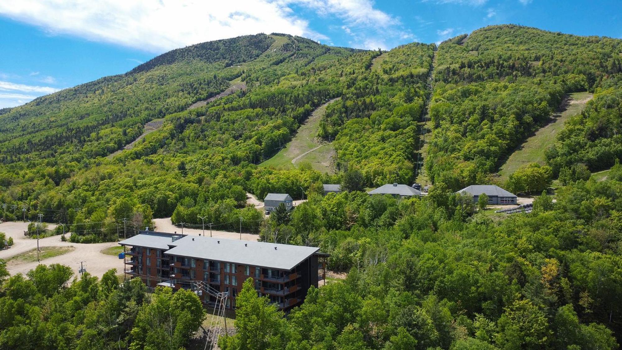 Les Appartements Du Massif De Charlevoix Petite-Riviere-Saint-Francois Εξωτερικό φωτογραφία
